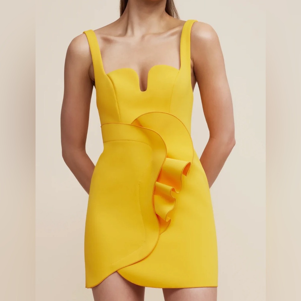 Acler Wexford mini dress